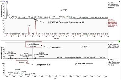 Characterization and evaluation of antioxidant potential of onion peel extract of eight differentially pigmented short-day onion (Allium cepa L.) varieties